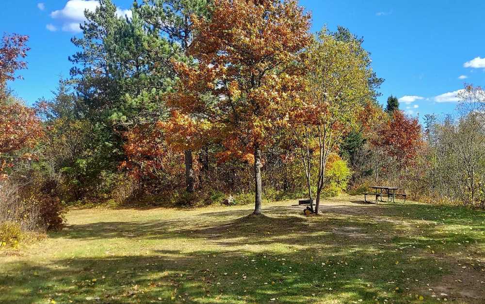 Tamarack Springs Campground - Conover, WI - Main Photo