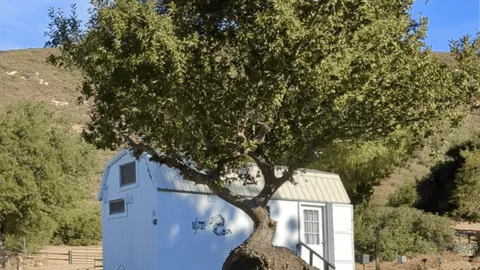 #16 The Barn — image 1 of 5