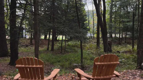 Deepwoods Village: Studio Cabin, Sleeps 6 — image 2 of 2