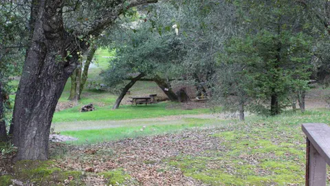 Primitive Tent Site — image 2 of 6