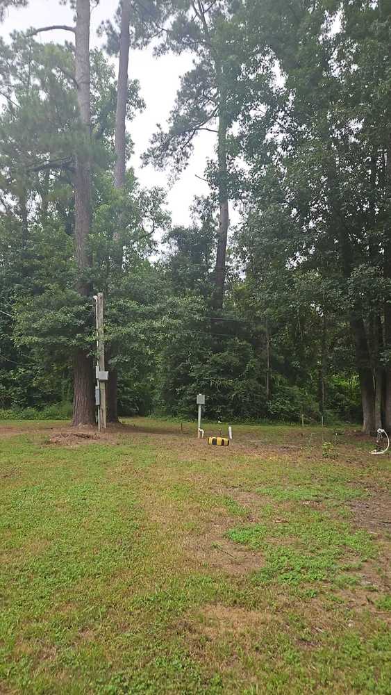 Park Image 7