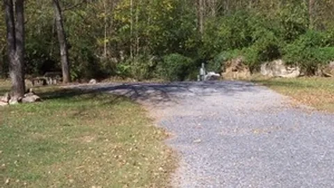 Electric & Water Tent Site — image 1 of 1