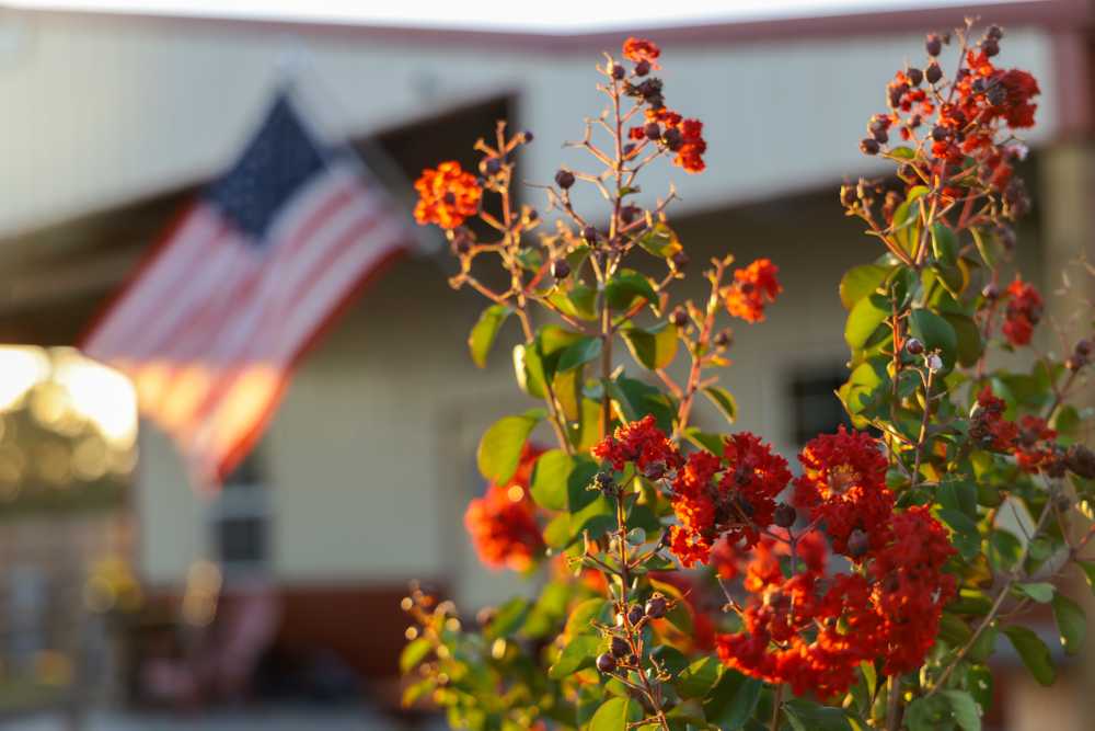 Terry's Country RV Park, Alvin, Texas - Photo 3