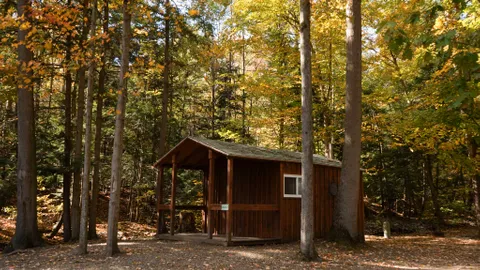 Rustic Cabin — image 1 of 6