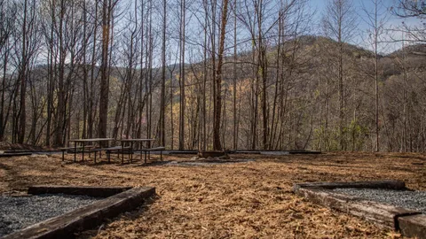 Group Primitive Campsite — image 2 of 9
