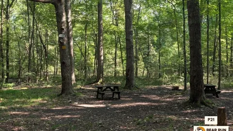 Primitive Walk In Tent Site — image 2 of 22