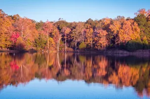 Nobles Road RV Park – photo 3
