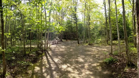 Group — image 4 of 4