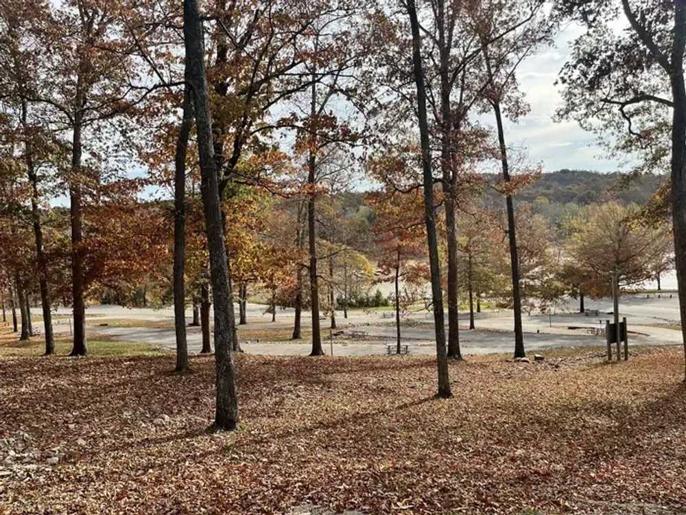 Cave Creek Campground - Falls of Rough, KY - Main Photo