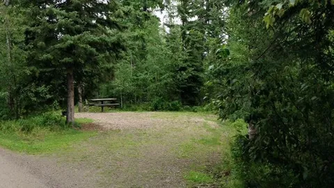 Treed Site(Non-Power) — image 1 of 13