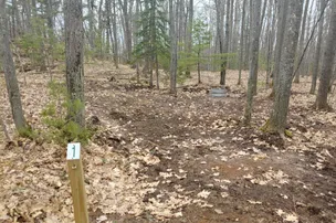 Forestville Campground – photo 3