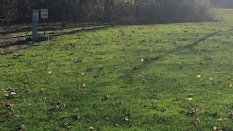 Primitive RV Site — image 1 of 1
