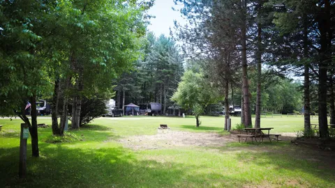 Standard Pull-thru 30/50 amp Full Hookup RV site — image 2 of 14