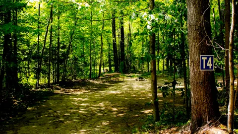 Tent Site — image 1 of 14