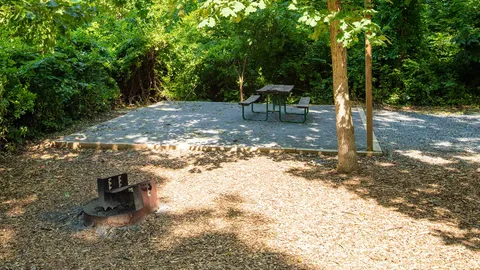 Primitive Tent Site — image 6 of 6