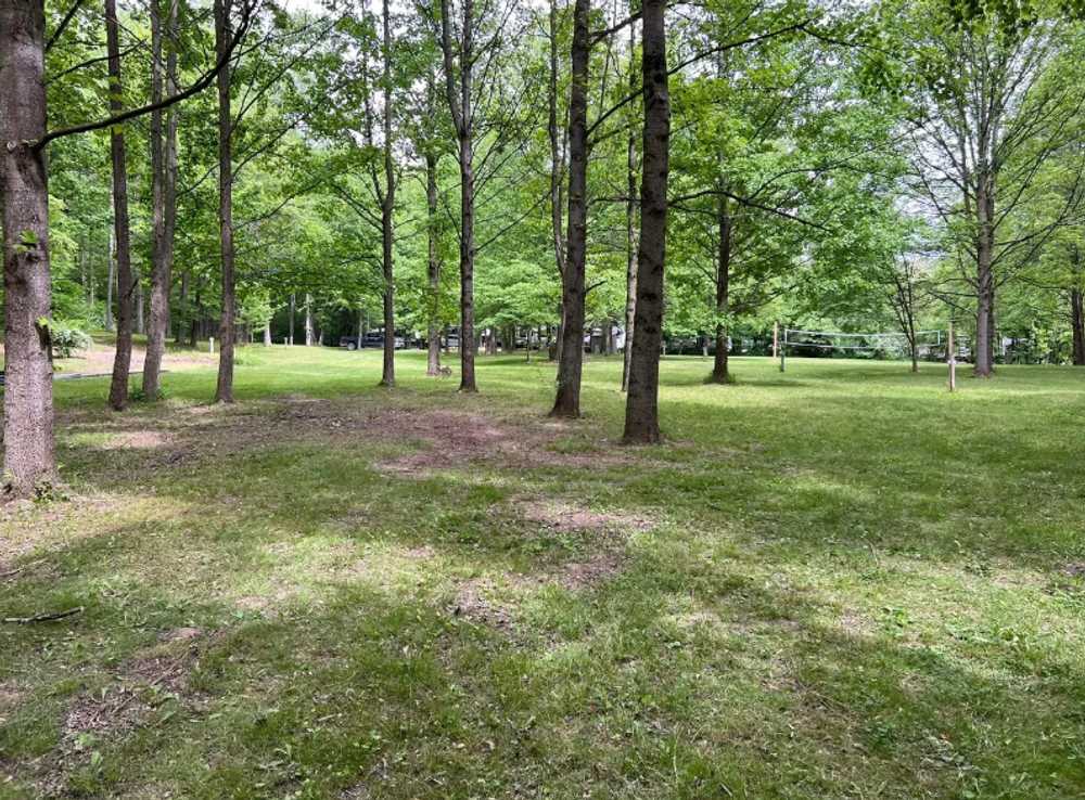 Fallen Rock Campground - Photo 3