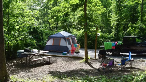 Primitive Tent Site — image 2 of 6