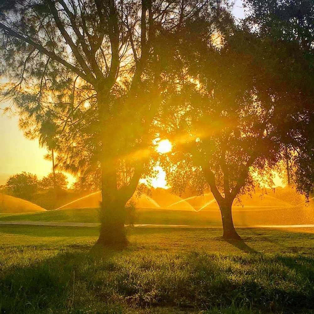 River Bend RV Resort, Brownsville, Texas - Photo 2