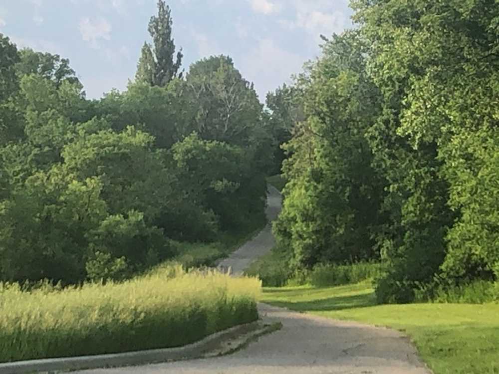 Park Image 5