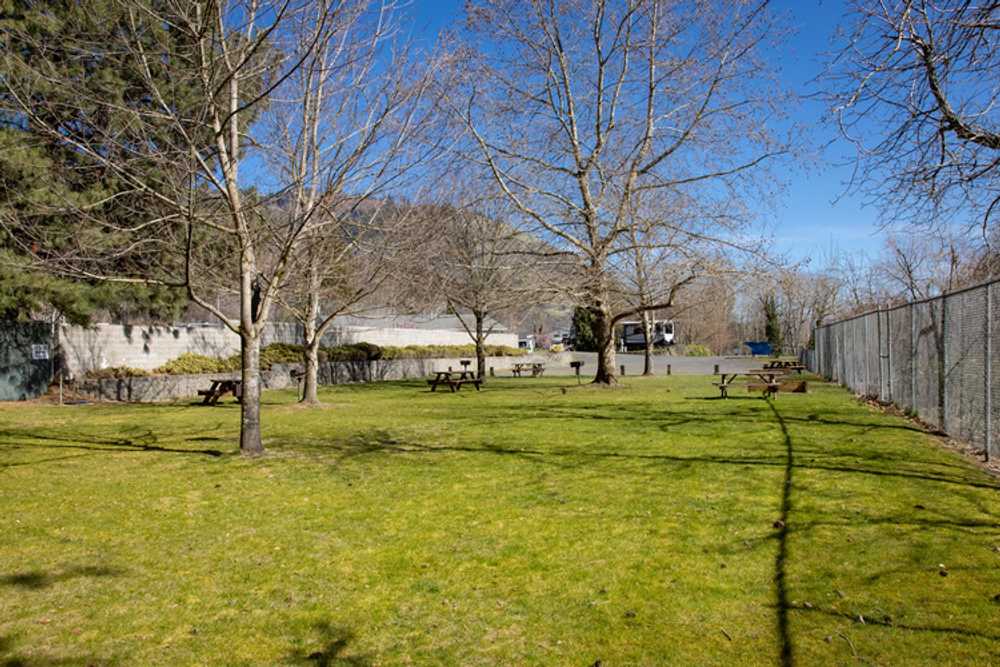 Primitive Tent Site