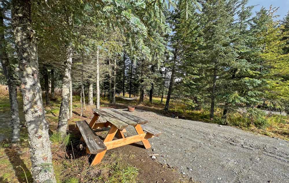 Blue Spruce Campground, Ninilchik, Alaska - Photo 4