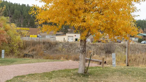 Creek Side Standard RV Site — image 2 of 5