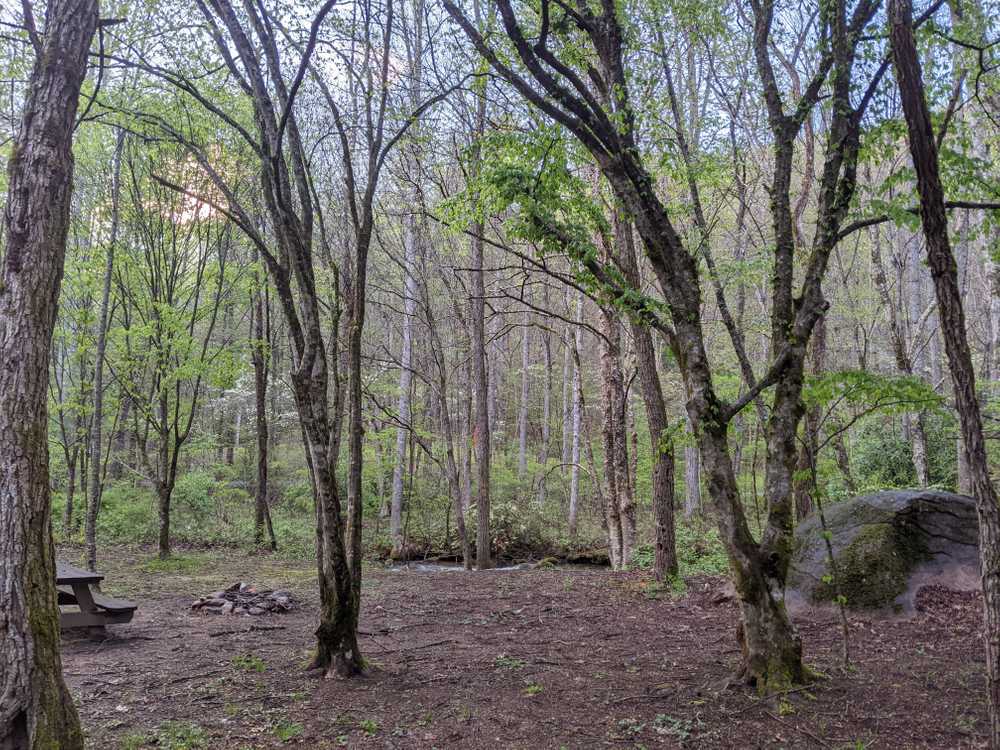 Park Image 9