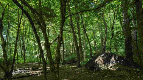 "New Primitive" Private on Creek — image 1 of 1