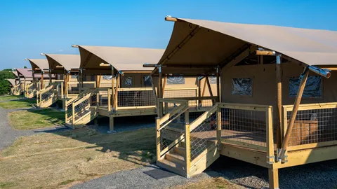 Pavilion Campground: Luxury Glamping (1-Bed) — image 2 of 10