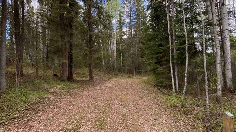 Primitive RV Site — image 1 of 5