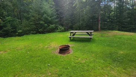 Wooded Un-Serviced Site — image 3 of 3