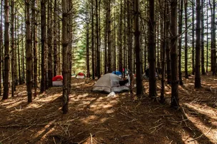 Hammock'Sway – photo 2
