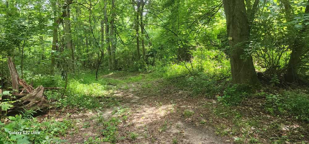 Park Image 11