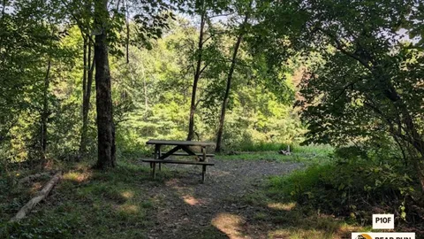 Primitive Walk In Tent Site — image 22 of 22