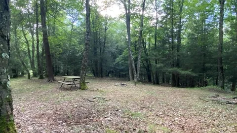 Open Tent Site — image 2 of 9