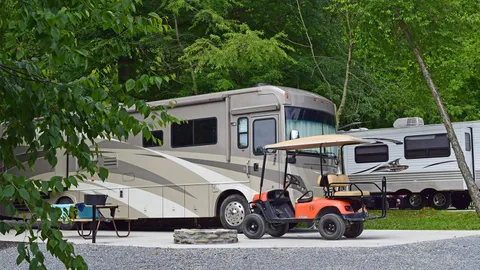 Red Carpet Back-In RV Site — image 2 of 4