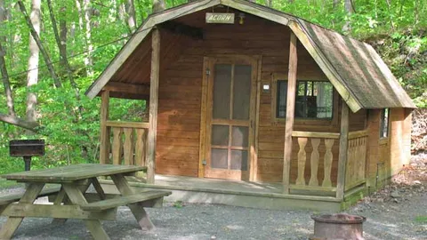 1 Room Rustic Cabin — image 1 of 4