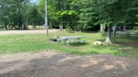 30/50 Amp Full Hookup RV Site — image 7 of 7