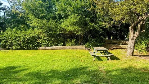 Campsite - Unserviced — image 4 of 4