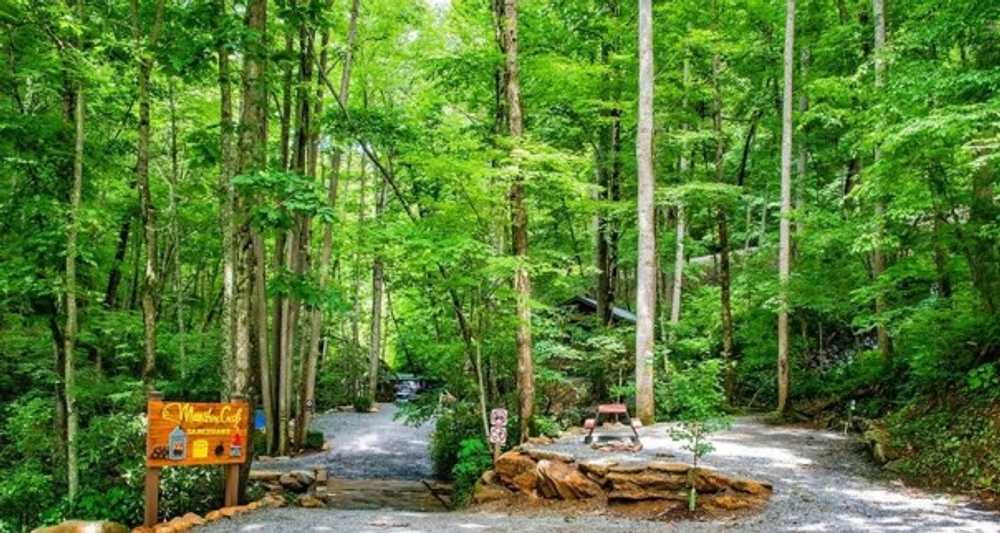 Moonshine Creek Campground, Sylva, North Carolina - Photo 3