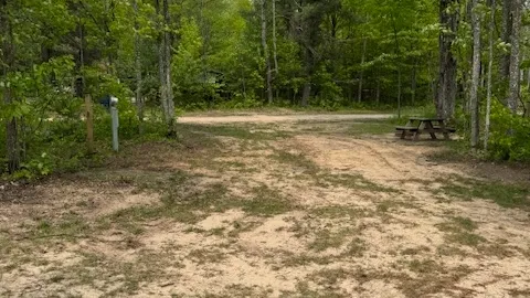30/50 amp Pull-Through RV site — image 2 of 10