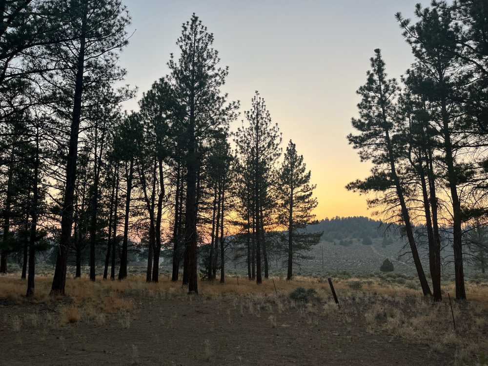 Coyote Ridge Campground, Fort Rock, Oregon - Photo 5