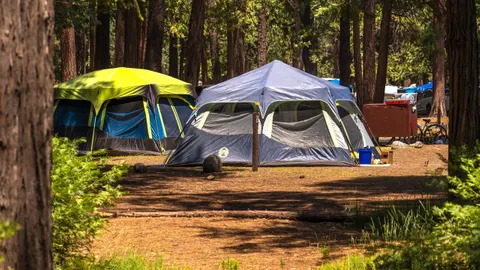 Group Tent — image 1 of 1
