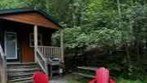 Deluxe Cabin w/ patio 56,79,82,84,87 — image 1 of 1