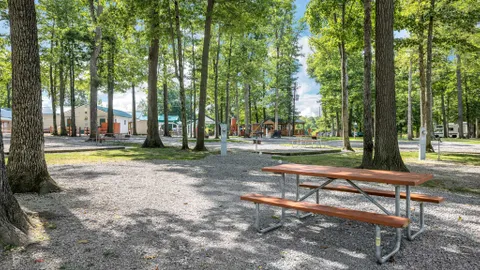 Preferred Premium Back-In RV Site — image 5 of 5