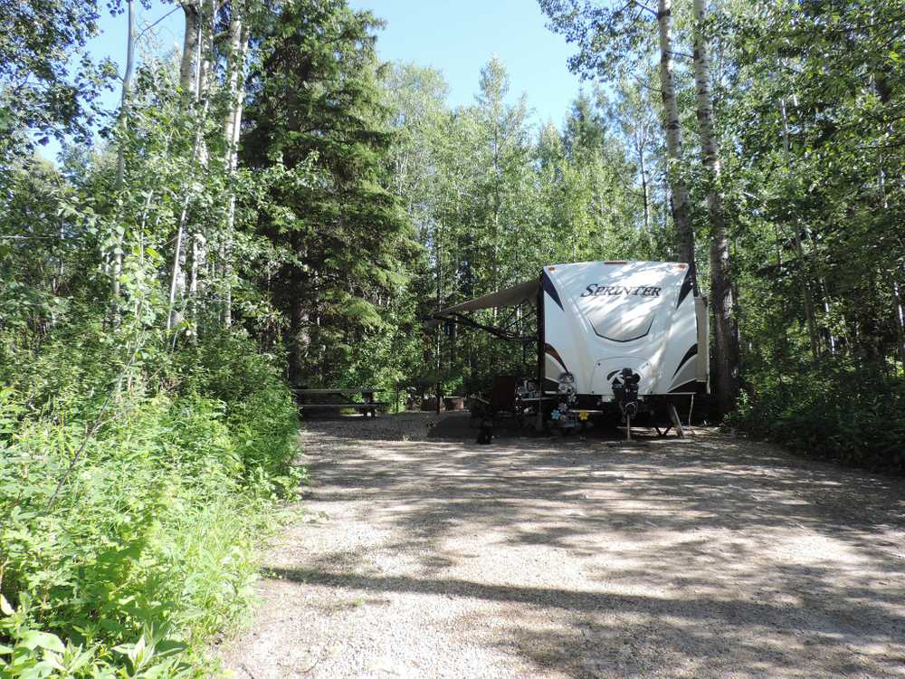 Nitehawk Year-Round Adventure Park - Photo 2