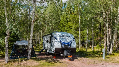 30-Amp Wooded RV Site — image 1 of 17