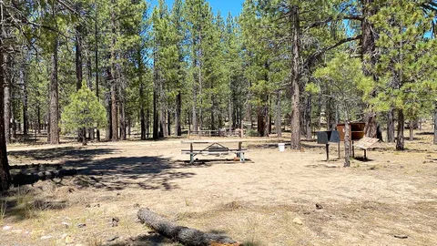 Forest Site Large — image 2 of 3