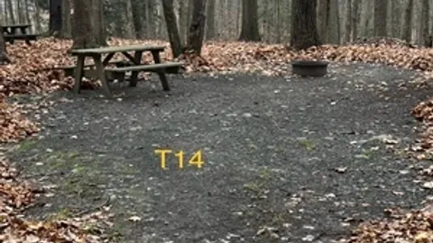 Tent — image 2 of 16
