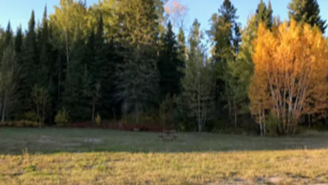 No Service  RV Site — image 1 of 4